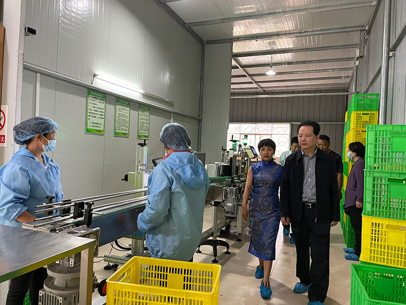 湖北山茶油廠家