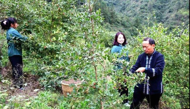 湖北恒貿(mào)茶油有限公司彭大波榮獲“工業(yè)企業(yè)發(fā)展突出人才”稱號 湖北恒貿(mào)茶油有限公司彭大波榮獲“工業(yè)企業(yè)發(fā)展突出人才”稱號