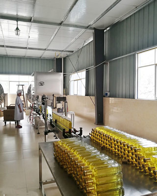 山茶油生產(chǎn)