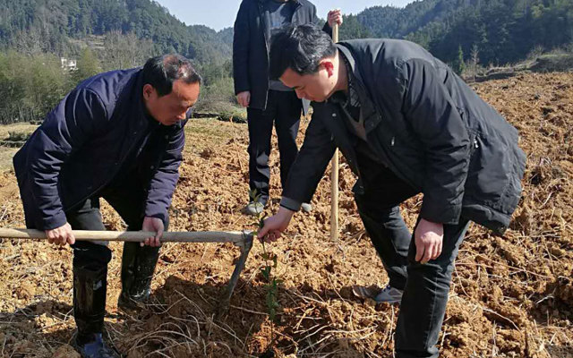 2018年3月9號政協(xié)大地龍基地圖片